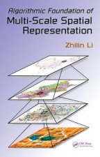 Algorithmic Foundation of Multi-Scale Spatial Representation