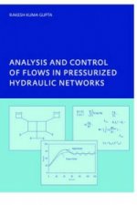 Analysis and Control of Flows in Pressurized Hydraulic Networks