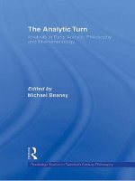 Analytic Turn