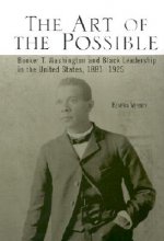 Art of the Possible