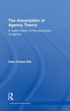 Assumption of Agency Theory