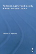 Audience, Agency and Identity in Black Popular Culture