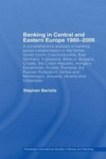 Banking in Central and Eastern Europe 1980-2006