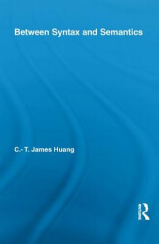 Between Syntax and Semantics