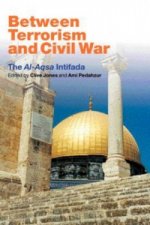 Between Terrorism and Civil War