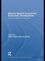 Beyond Market Access for Economic Development