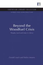 Beyond the Woodfuel Crisis