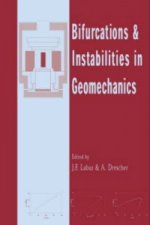 Bifurcations and Instabilities in Geomechanics