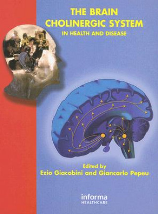 Brain Cholinergic System