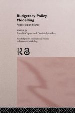 Budgetary Policy Modelling
