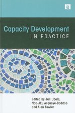 Capacity Development in Practice