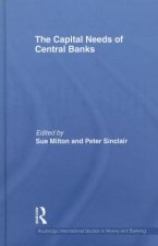 Capital Needs of Central Banks