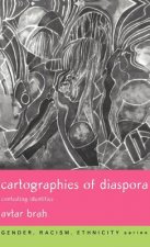 Cartographies of Diaspora