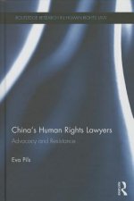 China's Human Rights Lawyers