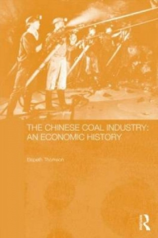 Chinese Coal Industry