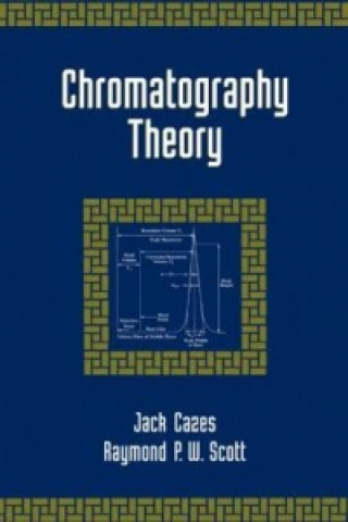 Chromatography Theory
