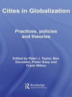 Cities in Globalization