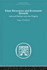 Class Structure and Economic Growth