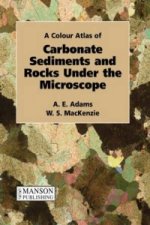 Carbonate Sediments and Rocks Under the Microscope