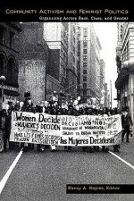 Community Activism and Feminist Politics
