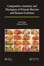 Comparative Anatomy and Phylogeny of Primate Muscles and Human Evolution