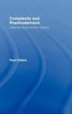 Complexity and Postmodernism