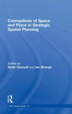 Conceptions of Space and Place in Strategic Spatial Planning