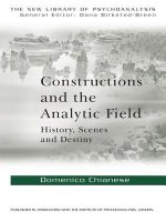 Constructions and the Analytic Field