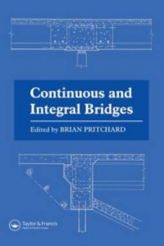 Continuous and Integral Bridges