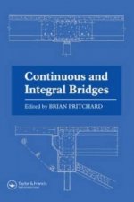 Continuous and Integral Bridges