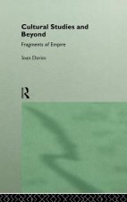 Cultural Studies and Beyond