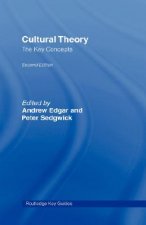 Cultural Theory: The Key Concepts