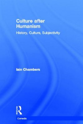 Culture after Humanism