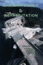 Dam Maintenance and Rehabilitation