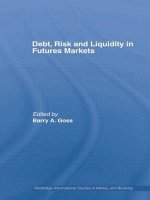 Debt, Risk and Liquidity in Futures Markets