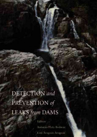 Detection and the Prevention of Leaks from Dams