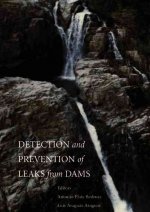 Detection and the Prevention of Leaks from Dams