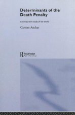 Determinants of the Death Penalty