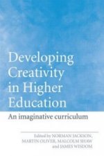 Developing Creativity in Higher Education