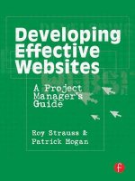 Developing Effective Websites