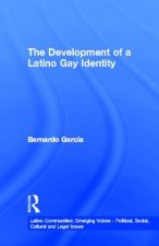 Development of a Latino Gay Identity