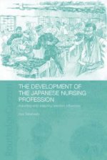 Development of the Japanese Nursing Profession