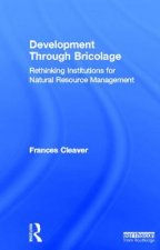 Development Through Bricolage