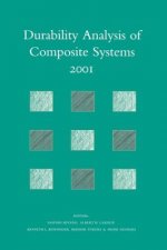 Durability Analysis of Composite Systems 2001