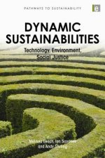 Dynamic Sustainabilities