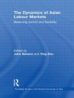 Dynamics of Asian Labour Markets