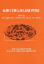 Earth's Core and Lower Mantle