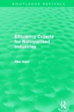 Efficiency Criteria for Nationalised Industries (Routledge Revivals)