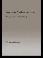 Emerging Afrikan Survivals