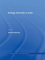 Energy Security in Asia